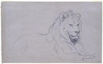 Rosa Bonheur, French, 1822–1899, Study of a Lion's Head, 1832–1899, Pencil on gray wove paper, Overall: 6 9/16 x 10 11/16 in. (16.6 x 27.1 cm