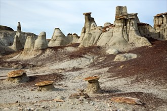 NM00297-00...NEW MEXICO - Hoodoos of the Bisti Wilderness area.