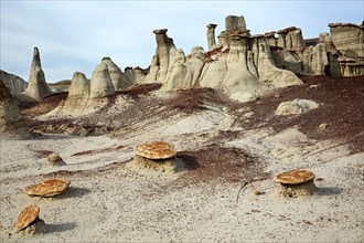 NV00299-00...NEW MEXICO - Hoodoos of different shapes and sizes in the Bisti Wilderness area.
