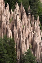 earth pillars in the forest, Italy, Suedtirol, Ritten