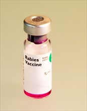 Vial of rabies vaccine