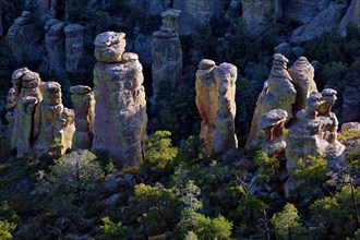 Countless lichen covered rock pinnacles rise up in Rhyolite Canyon and Arizona's remote Chiricahua National Monument.