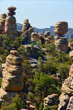Big Balanced Rock is one of countless lichen covered rock pinnacles in Arizona's remote Chiricahua National Monument.