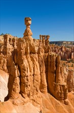 Thor's Hammer and Sandstone Hoodoos in Bryce Canyon Amphitheatre Utah USA United States of America US