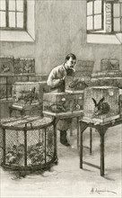 Laboratory used by Louis Pastuer (1822-1896) during research on hydrophobia (Rabies)  at the Institut Pasteur, Paris,.  Engraving, Paris, 1873.