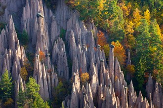 Ritten geomorphology Italy Europe Trentino South Tirol earth pillar geology erosion forms nature cliff wood forest autumn