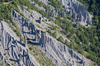 HOODOOS IN A FOREST (aerial view). Théus, Hautes-Alpes, France.