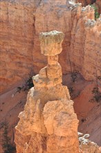 Thor’s Hammer in Bryce Canyon National Park, Utah