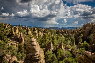 View of Sarah Deming Canyon with a monsoon storm as a back drop. Chiricahua National Monument.