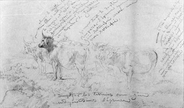 Rosa Bonheur - Sketch of Five Bulls with Color Notes - Walters 372365