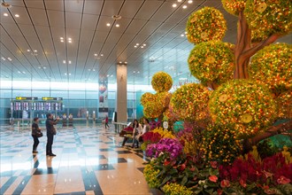 Photo Garden in Terminal 2, Singapore Changi Airport, Changi, Singapore Island, Singapore