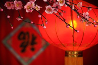 Chinese new year decoration--Traditional lantern and plum blossom on a festive background.