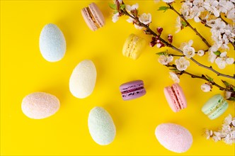 Multicolored decorative Easter eggs and sweet macarons or macaroons decorated with blooming apricot flowers on yellow background. Copy space. Greeting