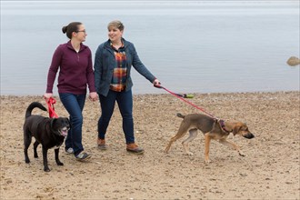 Same sex female couple holding hands walking dogs on Cape Cod beach