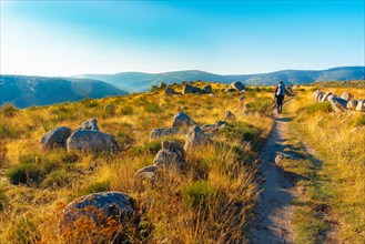 Walker on the Robert Louis Stevenson Trail above le-Pont-de-Montvert in the Cévennes, Lozère, France