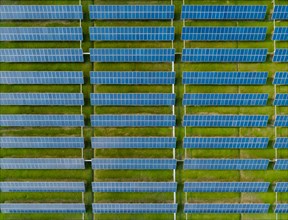 Aerial view of Solar Panels Farm with sunlight. Drone flight over solar panels field, renewable green alternative energy concept.