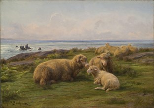 Rosa Bonheur - Sheep by the Sea (1865)
