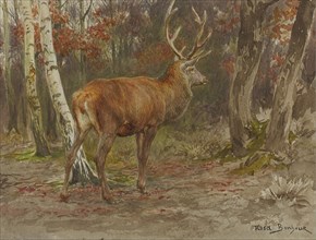 Rosa Bonheur - Stag on the Watch