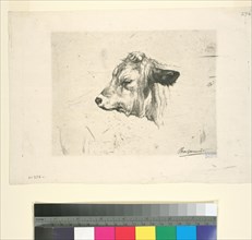 ToAAte de jeune taureau, tournée vers la gauche, d'après Rosa Bonheur (NYPL b14504923-1130987)