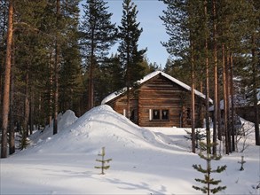 Romantic snow covered wintersport chalet between the pine trees in a holiday resort in Lapland, Finland.