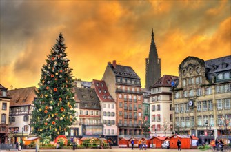 Christmas tree at the Christmas Market in Strasbourg, France