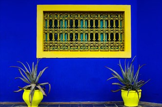 Marrakesh, Morocco - November 24th 2014: Colorful flower pot and window in Jardin Majorelle, former residence of fashion designer Yves Saint Laurent,