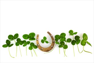 Clover isolated on white background, great design for any purposes. Saint patrick day.