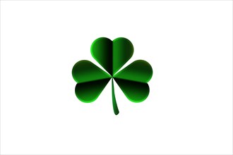 Shamrock isolated on white. St Patricks day symbol of Ireland.