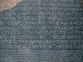 Section from the Rosetta Stone