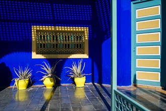 The Majorelle garden owned by Yves Saint Laurent in Marrakech, Morocco