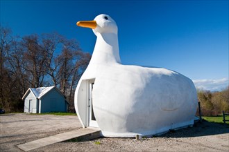 USA, New York, Long Island, Flanders. The Big Duck, area known for its duck farms.