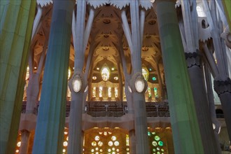 Barcelona, Spain Sagrada Familia interior pillars.