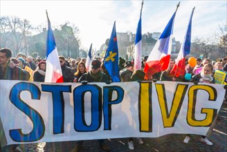 Crowd of French Catholics People, the conservatives Marching in Protest Against Legal Abortion, "Marche Pour la Vie" Protests, conservative protesters
    "Tens of thousands of protesters took to the ...