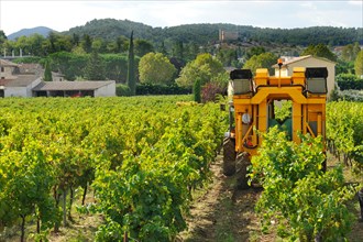 Harvesting the grapes on a mechanical way in France