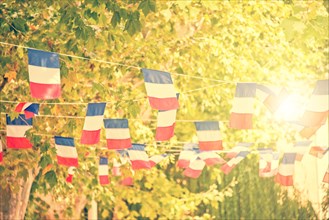 French flags garland, plane trees and sun background in a village square