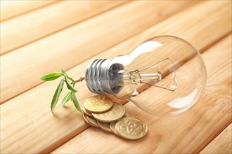 Light bulb and coins on wooden background. Electricity saving concept