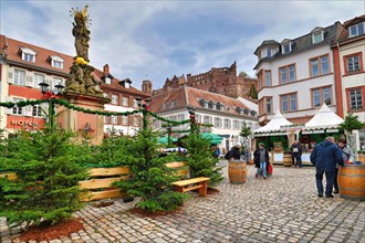 `Winter woods` with multiple fir trees standing around fountain with Madonna statue at square called `Kornmarkt` part of traditional Christmas market