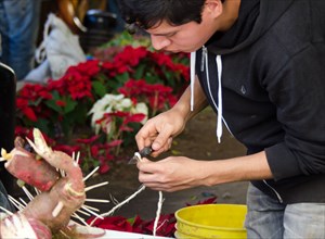 Young man assembling radish sculpture for Noche de Rabanos, Oaxaca, Mexico.