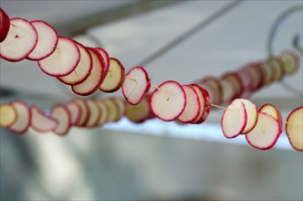 Garlands of red and white radish slices are strung around booths for Noche de Rabanos, Oaxaca, Mexico.