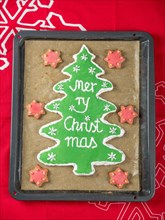 Home-made christmas tree-like gingerbread cookie with green icing and Merry Christmas writing on baking tray placed on red table