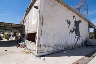Banksy's famous mural  "Rage, The Flower Thrower (Love Is In The Air)" which is painted on a car wash in a suburb of Betlehem (Palestine)