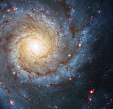 Spiral Galaxy M74 i