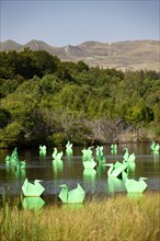 The Land Art work called "Origamis", carried out by Antoine MILIAN, the French visual artist. Origami cranes and ducks.