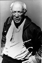 Portrait of artist Pablo Picasso