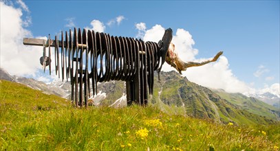 Elephant at the art trail installed by the  3-D Foundation in 2011 at 2,300 metres height  between Ruinettes and La Chaux