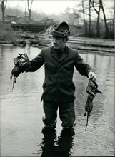 1962 - Horst Eick the Rat Catcher of Berlin: It is not pied of Hamelin but the official rat catcher of Berlin, who is sen here on work. and he does not decoy the rats with sweet notes, as his famous''...