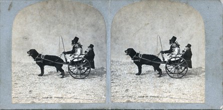 Monkey Cart, by Adrien Tournachon, 1856