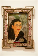 Fulang-Chang and I by Frida Kahlo at the MOMA in New York City, USA