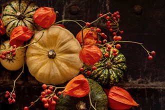 Handmade wreath of the small pumpkins and zucchinis on a vintage door Halloween pumpkins