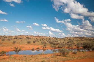 Desert landscape after recent rains, seen from The Ghan train south of Alice Springs, Northern Territory, Australia
